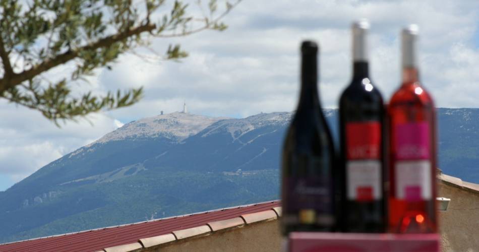 Domaine Bernard@Domaine Bernard
