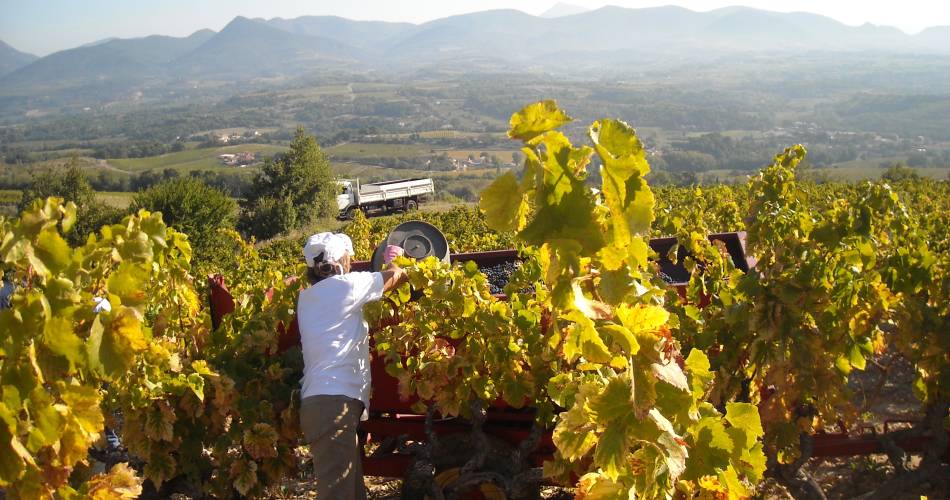 Domaine Bernard@Domaine Bernard
