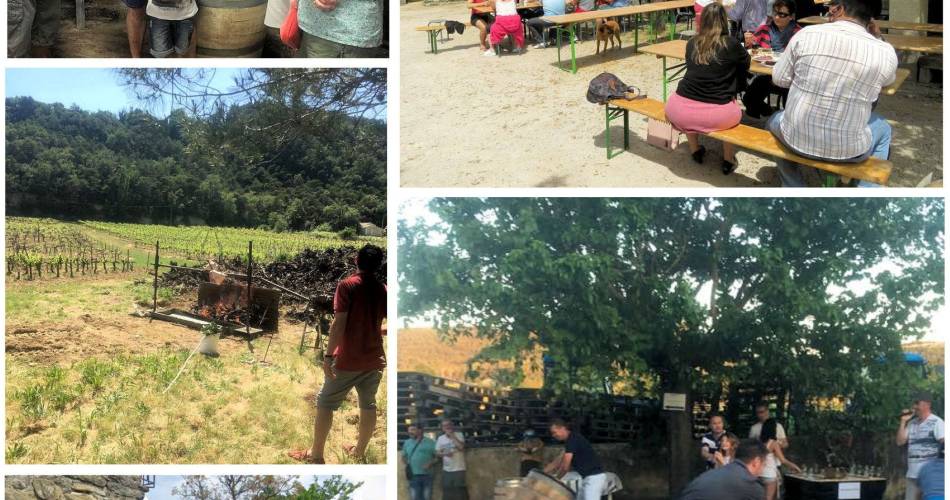 Fest der Reben und des Weins - Domaine Le Mas des Flauzières@Le Mas des Flauzières