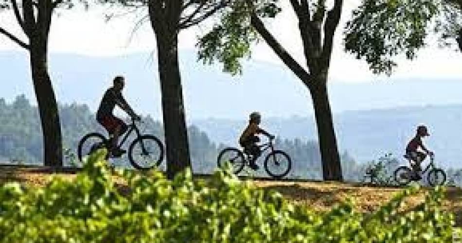 Location vélo mixte - Veloc'sud@veloc'sud