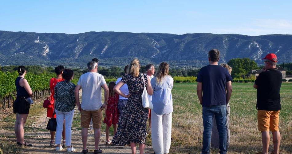 Sunsets Vignerons in Luberon at Domaine de La Bastidonne@Destination Luberon
