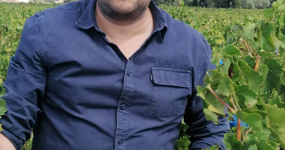 Domäne Wilfried@Domaine Wilfried