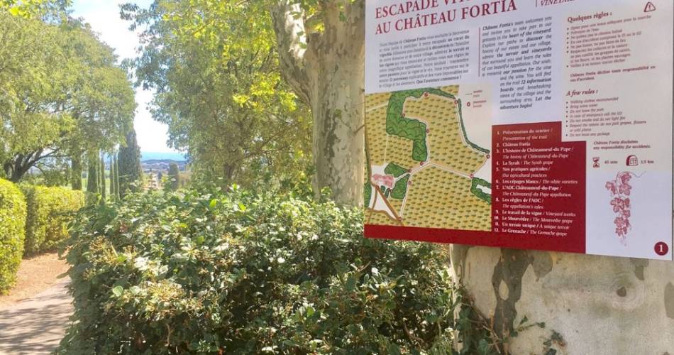 Escape game dans les vignes « A la recherche de la précieuse formule »@© Château Fortia