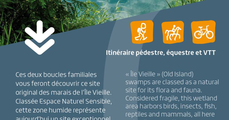 R27 - Circuits de l'IIe vieille  - Circuit des guêpiers -.@Les écologistes de l'Euzière et service communication C