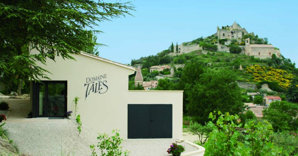 Domaine Talès@Domaine Talès