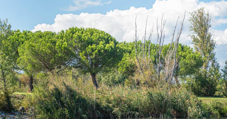 Plan d'eau Les Girardes@© Provence Côté Rhône