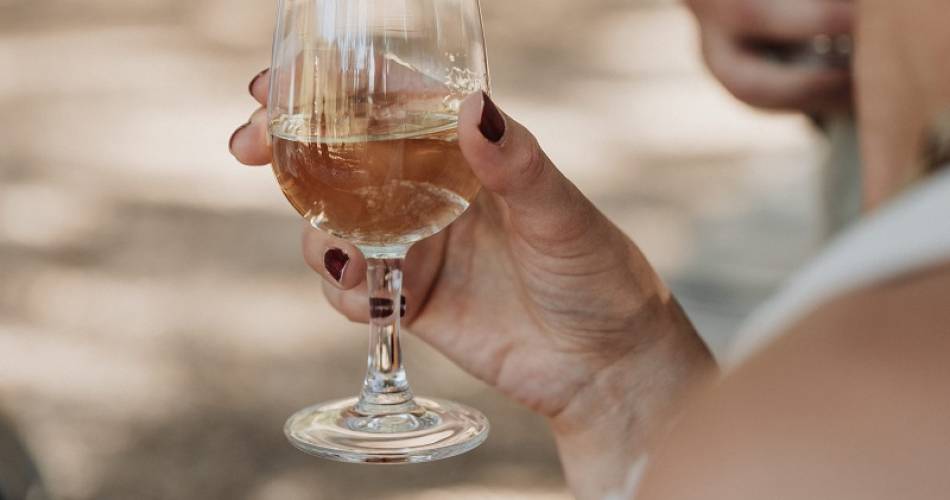 Balade vigneronne et dégustation - Domaine Souleyrol@V.VEYRIER
