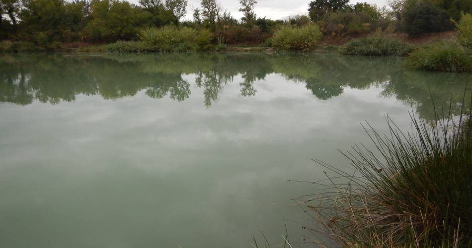 Plan d'eau des Jardins@Fédération de Pêche du Vaucluse