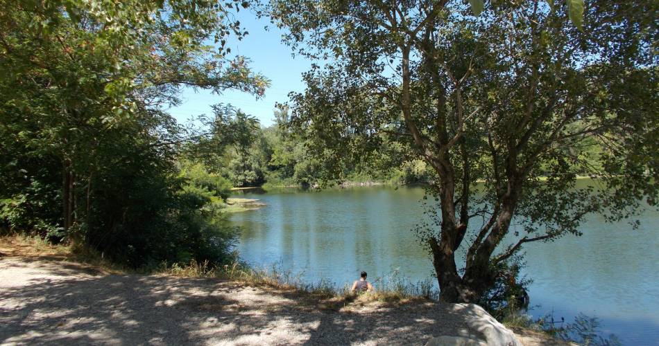 Plan d'eau Parc des Libertés - Le Rhône@Fédération de Pêche du Vaucluse