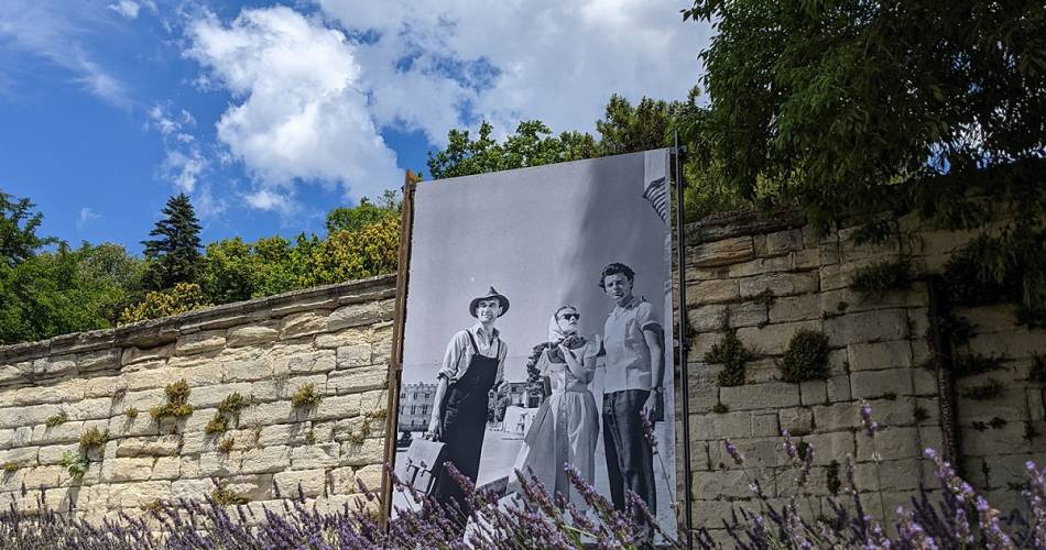 „Côté Jardin Jean Vilar et Avignon“, Freiluft-Fotoausstellung im Jardin des Doms@©Association Jean Vilar