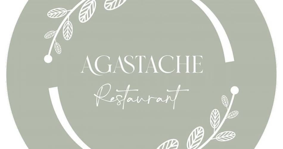 Agastache@Agastache
