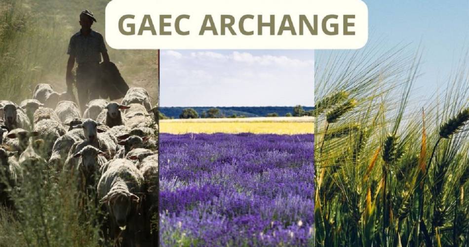GAEC Archange@C. Archange