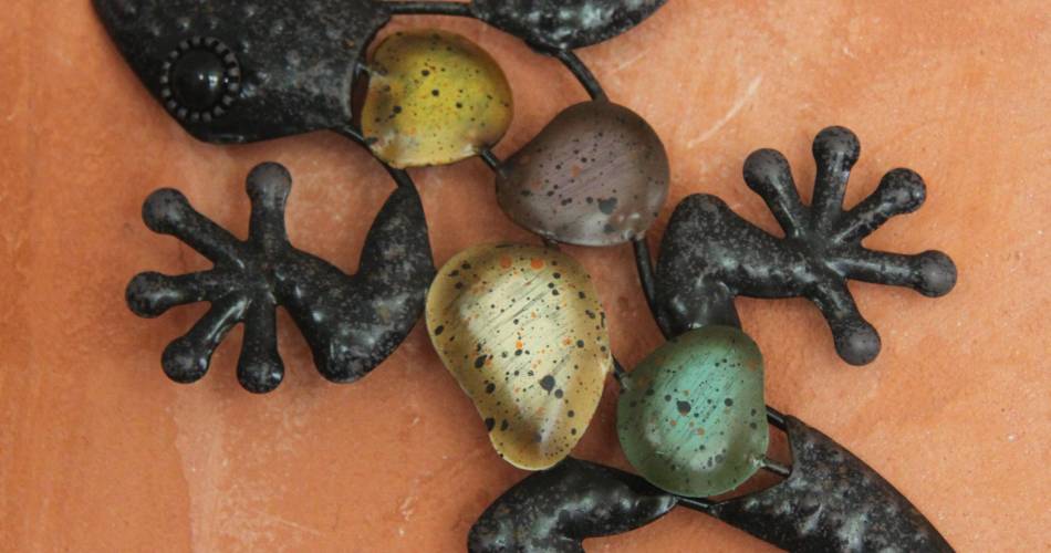 Gîte du Gecko en Luberon@P. Stroppiana