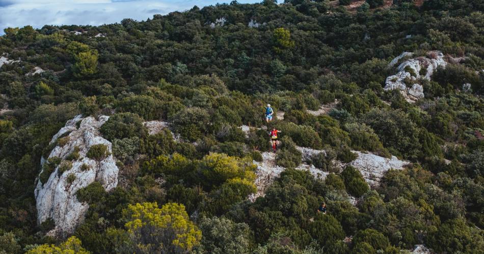 Trail des Monts de Vaucluse@Isle sur la Sorgue Tourisme - Julien Abella,