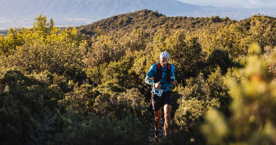 Trail des Monts de Vaucluse@TMV Saumane