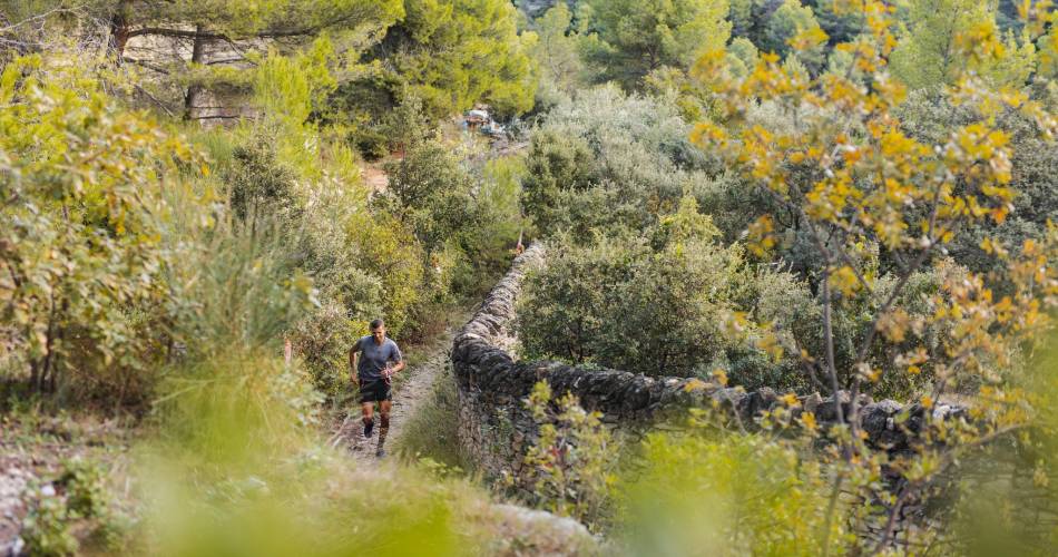 Trail des Monts de Vaucluse@Isle sur la Sorgue Tourisme - Julien Abella,