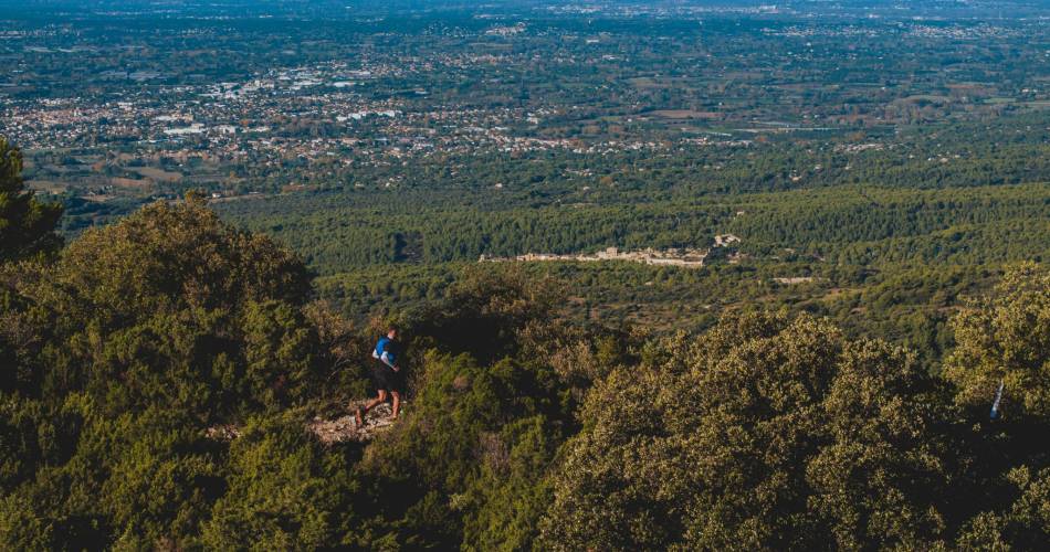 Trail des Monts de Vaucluse@TMV Saumane