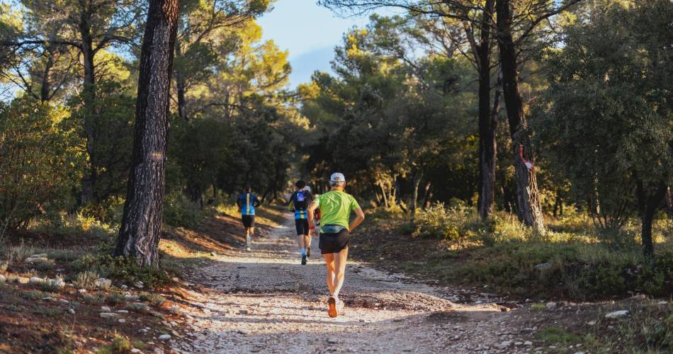 Trail des Monts de Vaucluse@TMV Saumane