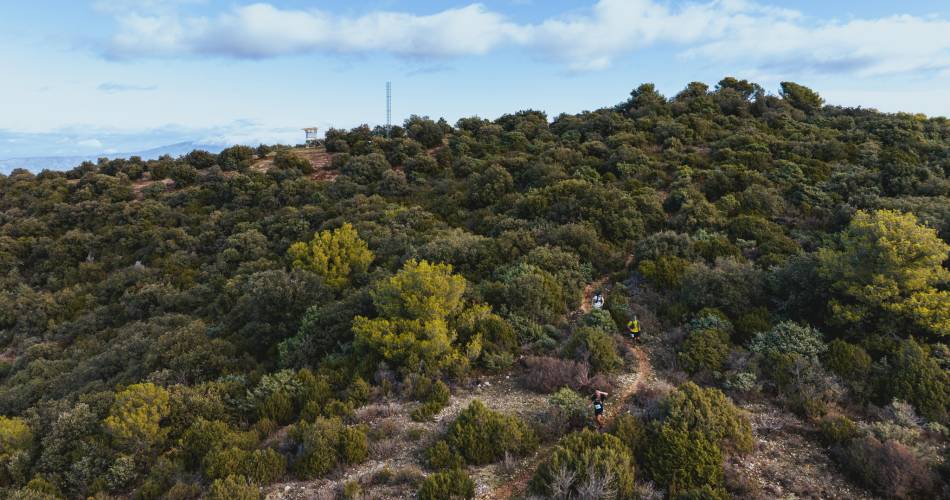 Trail des Monts de Vaucluse@TMV Saumane