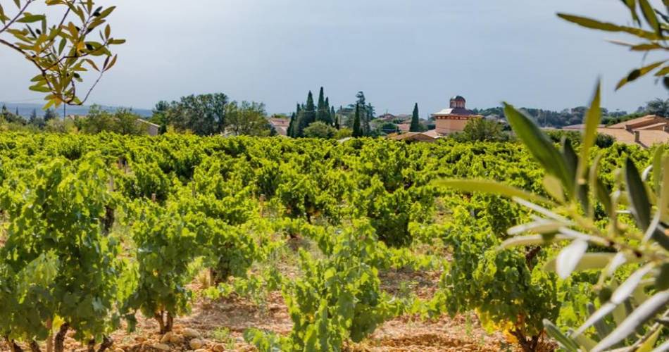 Escapade viticole en autonomie au Château Fortia@®Château Fortia