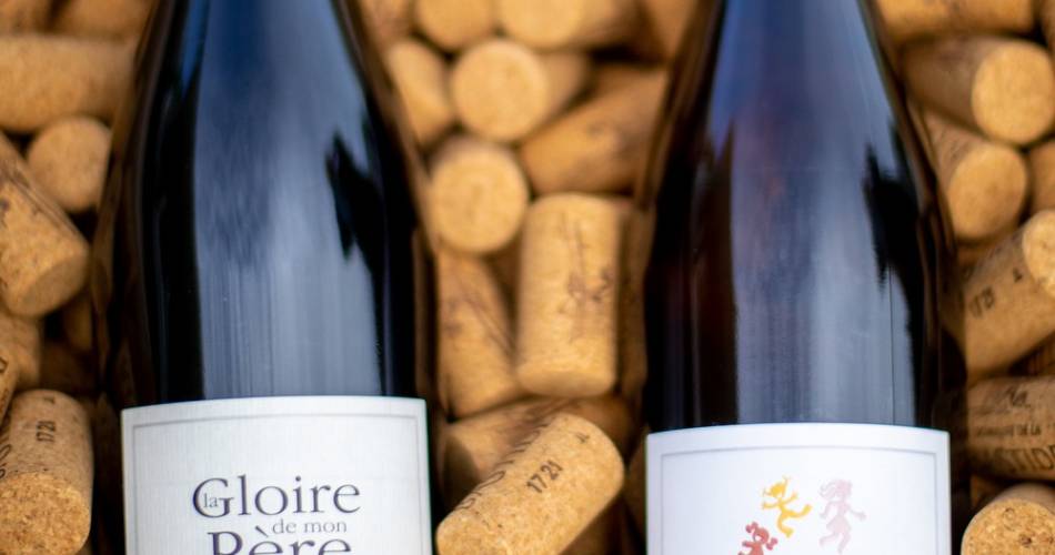 Domaine de la Bastide - Winery@Vincent Boyer
