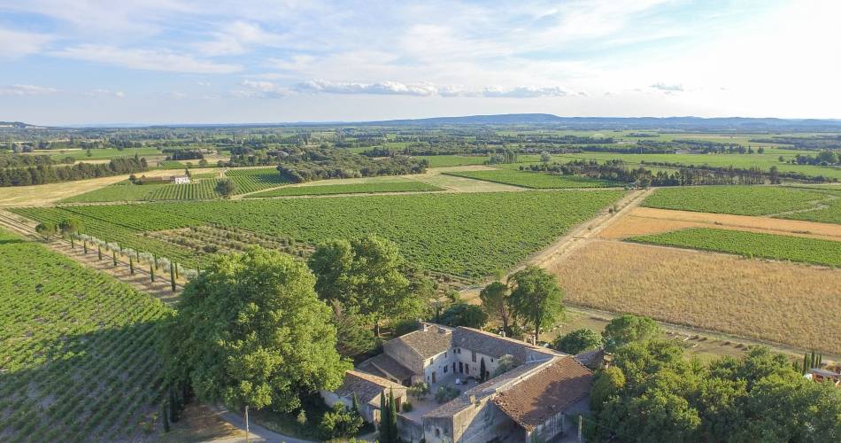 Domaine de la Bastide - Winery@Boyer Vincent