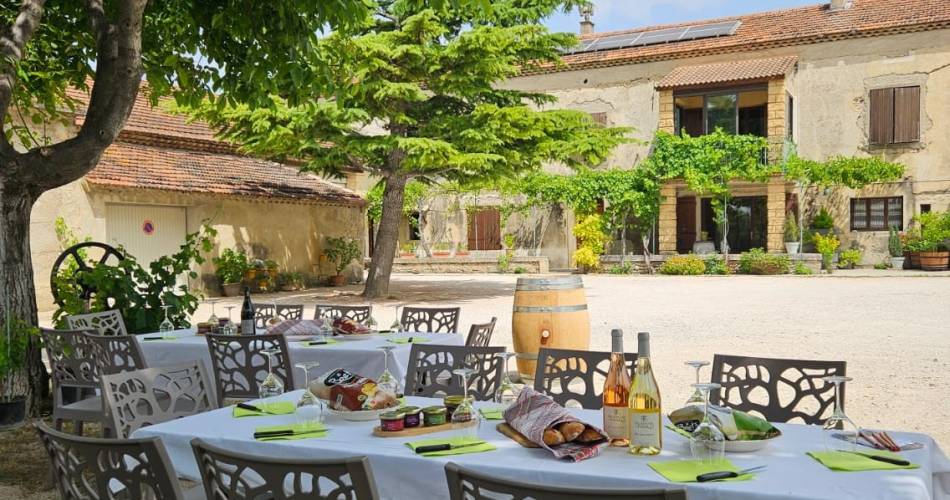 Dégustation et pique-nique - Domaine des Favards@© Domaine des Favards