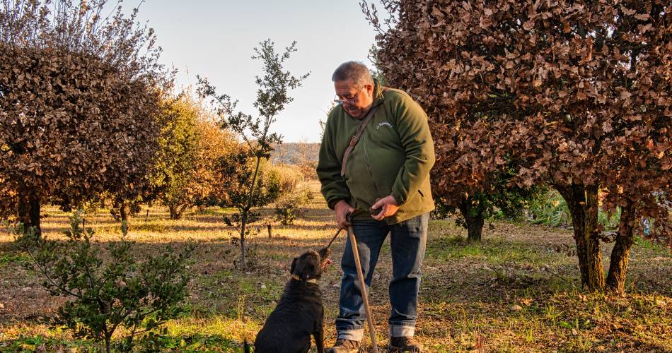 Jean-Marie Dutto - Trufficulteur@Photographies © Philippe Durand