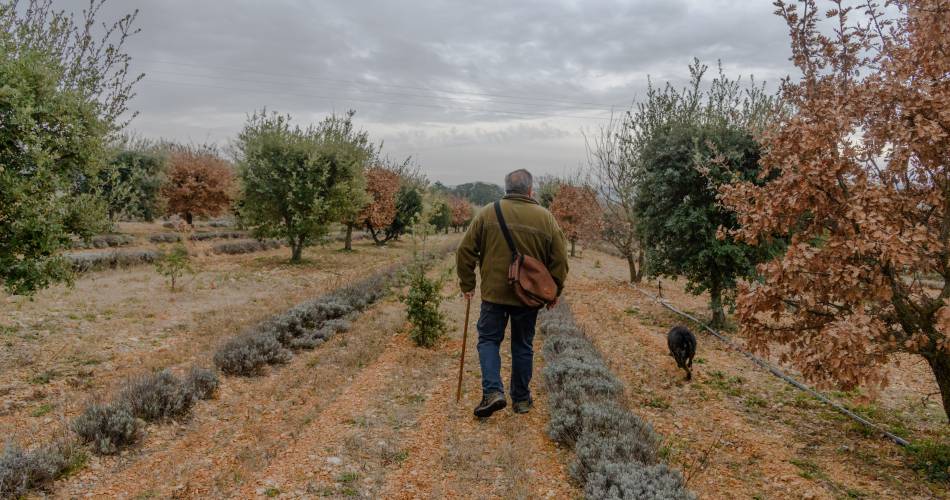 Jean-Marie Dutto - Trufficulteur@Photographies © Philippe Durand