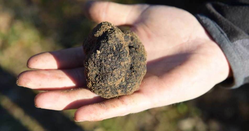 Black Diamond Party@Association de trufficulteurs 'Le Diamant Noir'