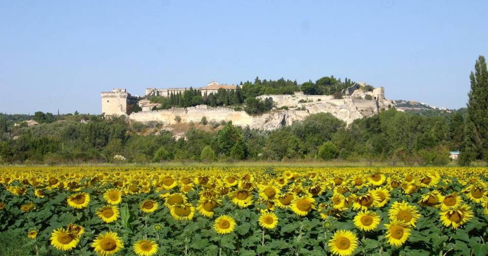 La Rive droite du Rhône-balade à vélo-50@@MairieVilleneuvelezAvignon