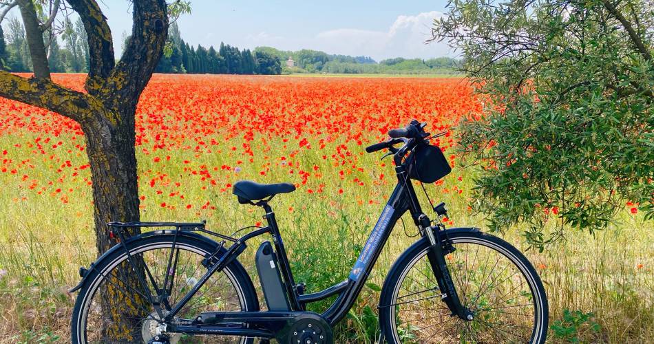 Orange Bike Via Venaissia@Solenne Chevalier