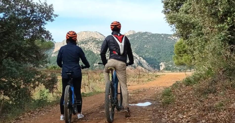 Electric mountain bike ride in the vineyard and tasting - Rhonéa@Rhonéa