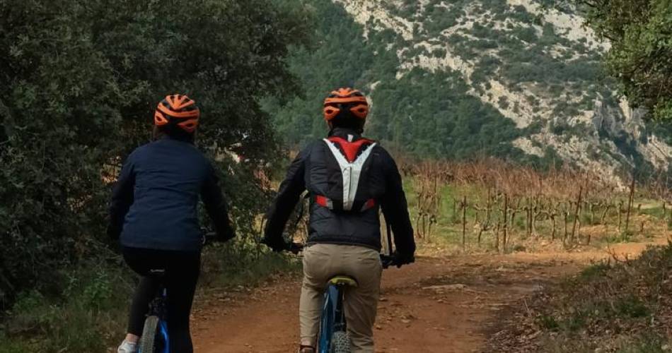 Balade à VTT électrique dans le vignoble et dégustation - Rhonéa@Rhonéa