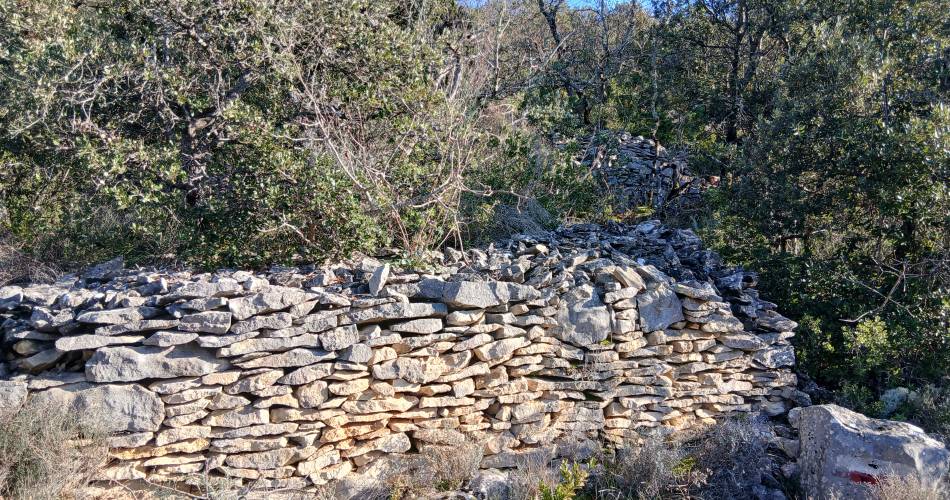 V24- Les combes du Cerisier et de l'Ermitage@Elsa Aptel