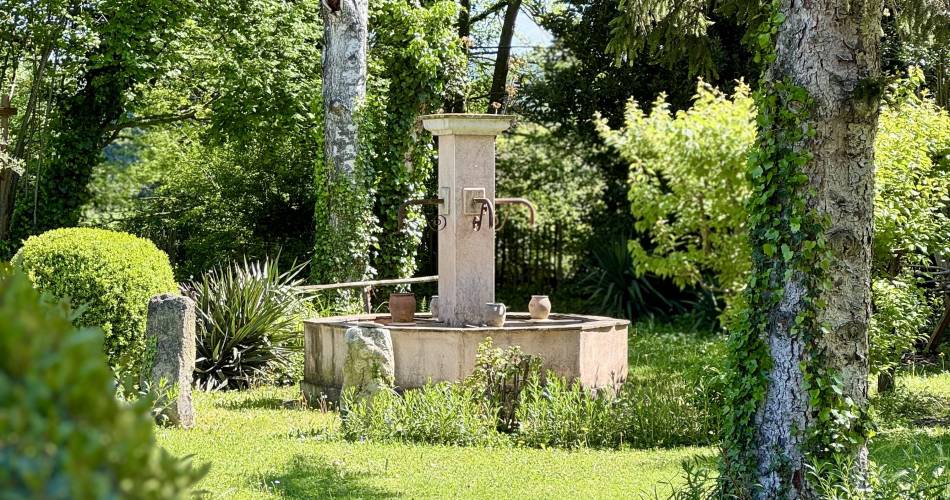 La Petite Rive - Les Oliviers@La petite rive
