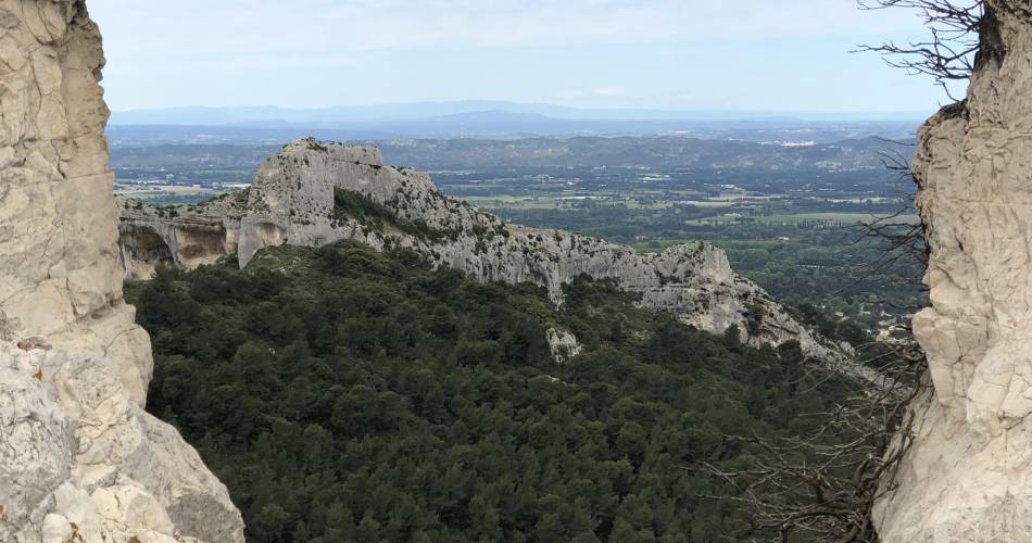 La Petite Rive - Les Tilleuls@La Petite rive