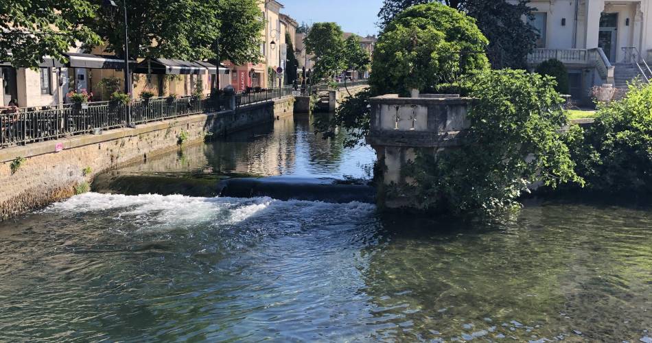 La Petite Rive - Les Tilleuls@La Petite rive