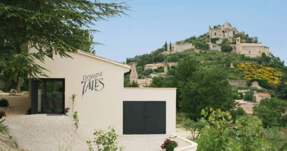 Visite du vignoble et de la cave - Domaine Talès@Domaine Talès