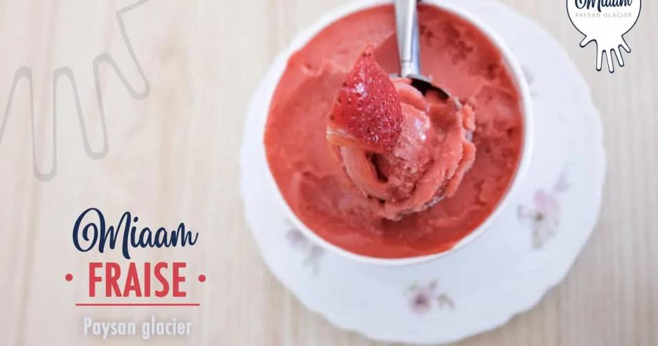 Miaam - Paysan Glacier@Miaam