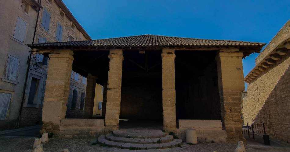 Concert du 14 juillet sous la Halle Couverte@Porte du Ventoux Tourisme