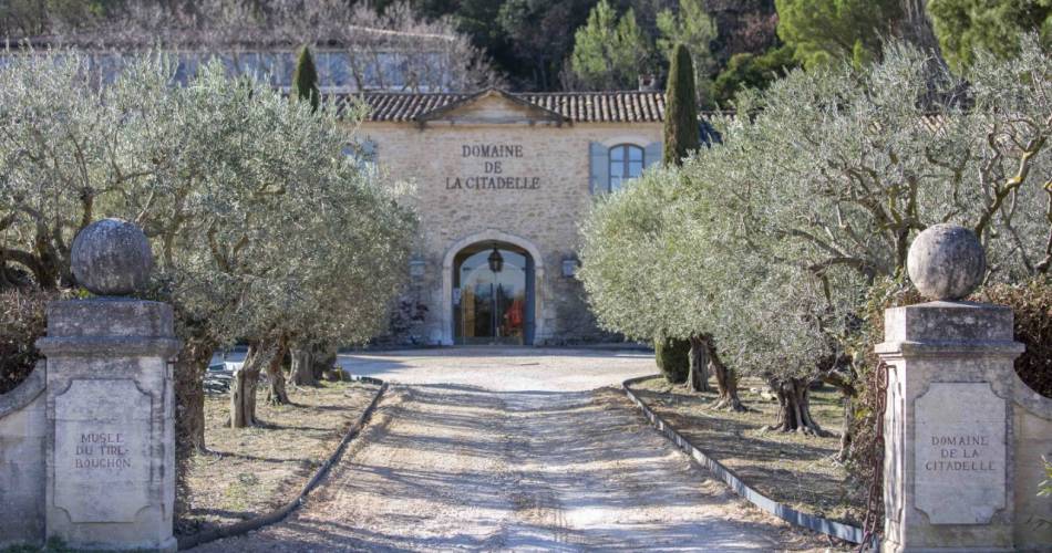 Sunsets Vignerons 2025 au Domaine de la Citadelle@citadelle