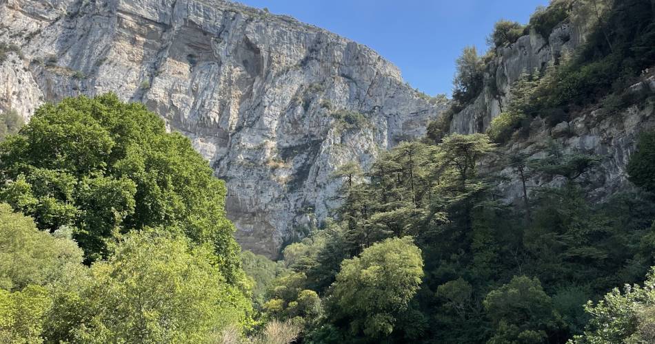 Visite découverte de Fontaine-de-Vaucluse@Isle sur la Sorgue Tourisme