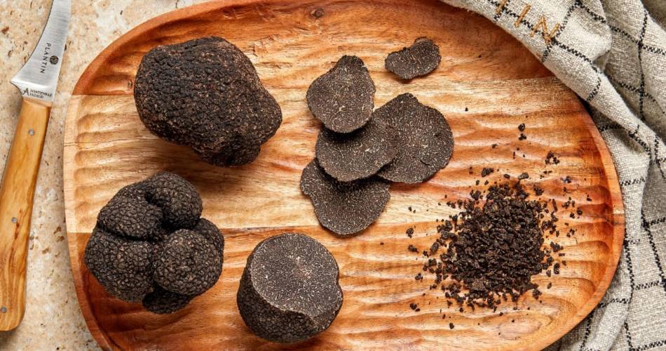 Zomertruffelfestival bij Plantin@Plantin Truffe