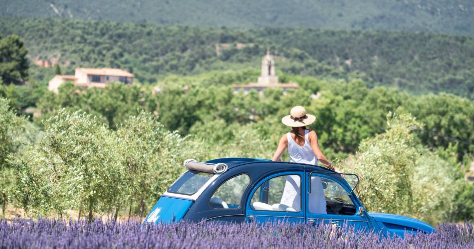 The lavender experience, immersion with the farmer with Oh my Deuche@Oh My Deuche