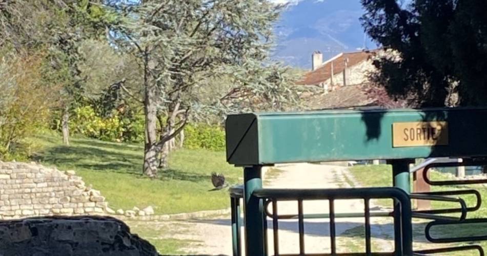 Hadrius Hadrius - Vaison-la-Romaine - Restaurants - Provenceguide