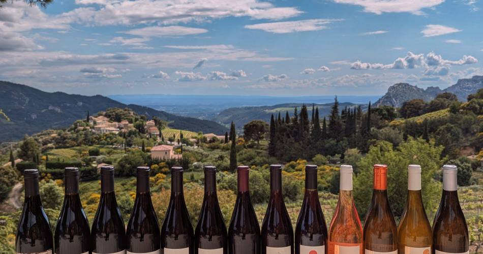 Le Grand Pique-Nique - Domaine de la Ferme Saint Martin@Sophie JULLIEN