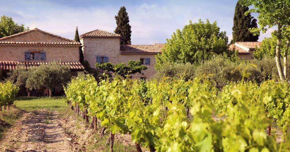 Gîte des Amis - Domaine de Mas Caron@Cerise BOULON