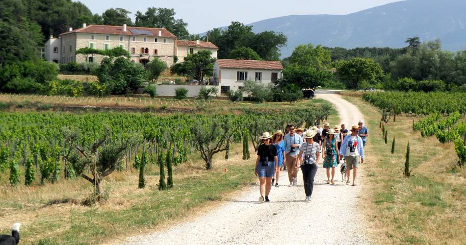 The sensational path of the LESCHANCEL estate@Camille Chancel