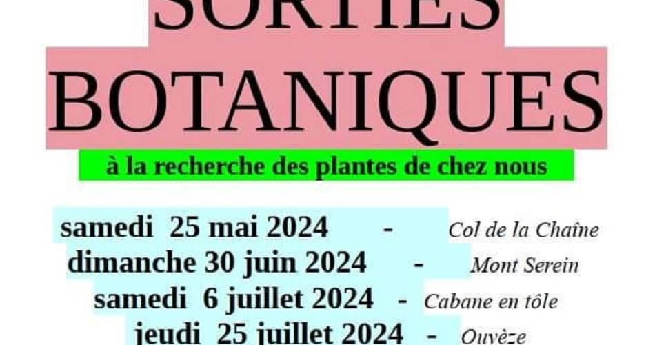 Sortie botanique à la recherche des plantes de chez nous : Ventoux@Apprendre des Anciens